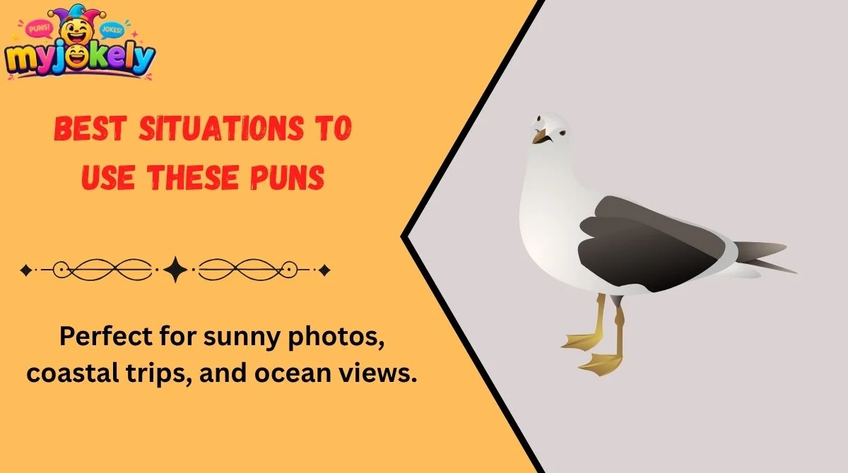 Seagull Puns