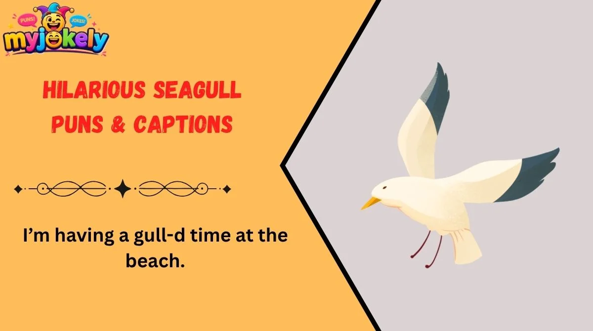Seagull Puns
