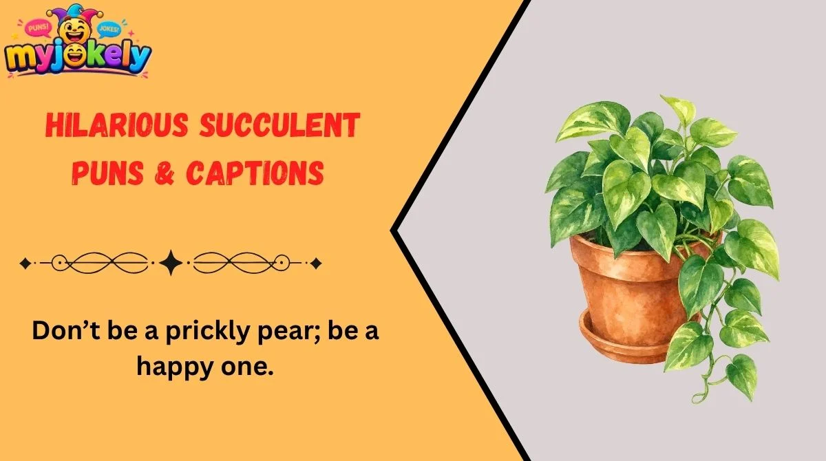 Succulent Puns