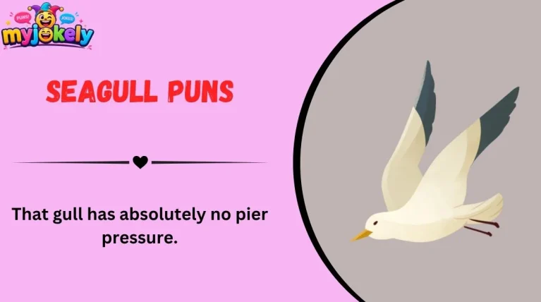Seagull Puns