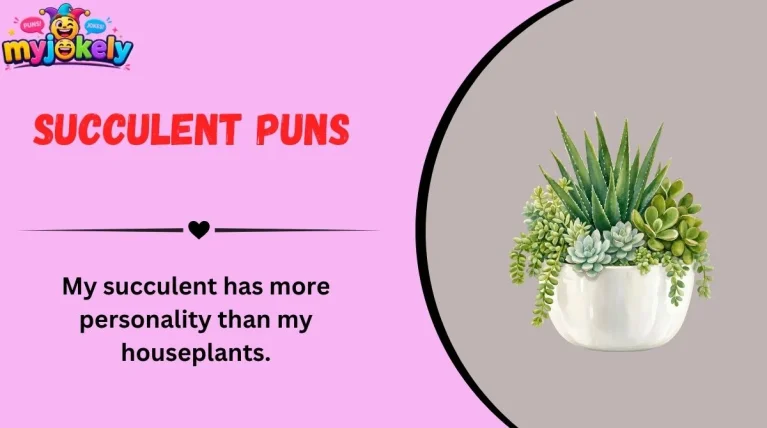 Succulent Puns